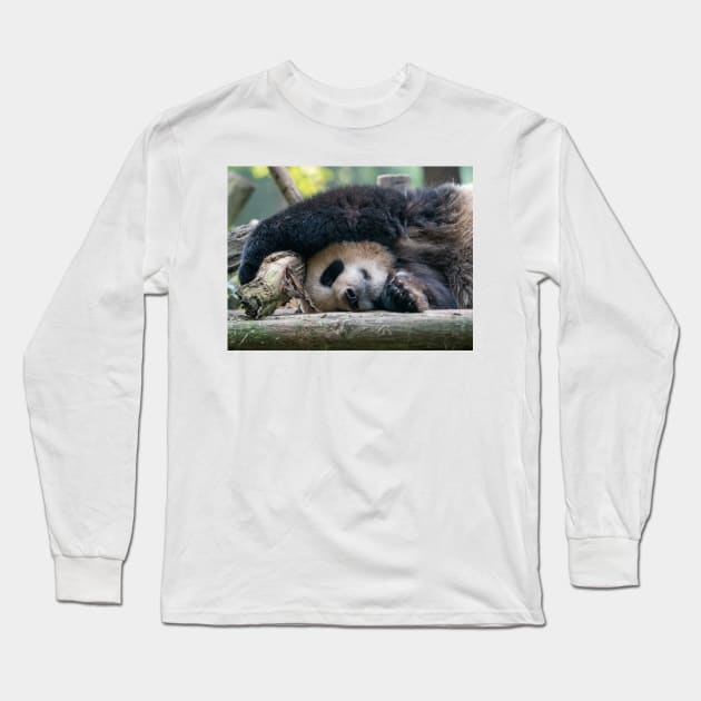 Panda Nap Time Long Sleeve T-Shirt by LukeDavidPhoto